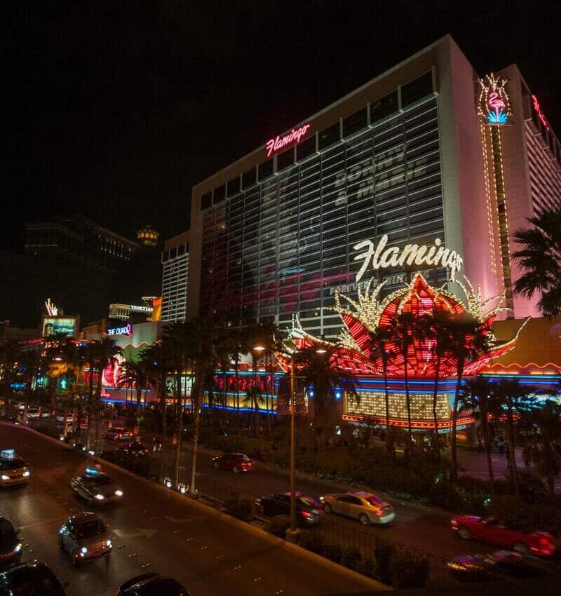 pexels-dumitru-b-742240889-29148044-2