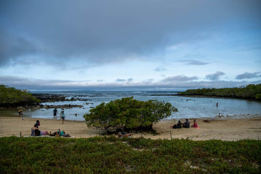 Galápagos With Domestic Flights And Boats