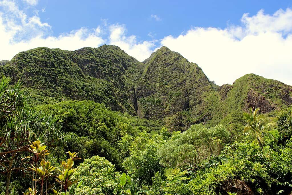 1024px-Hills_of_Iao_Valley,_Mau,_Hawaii_-_panoramio