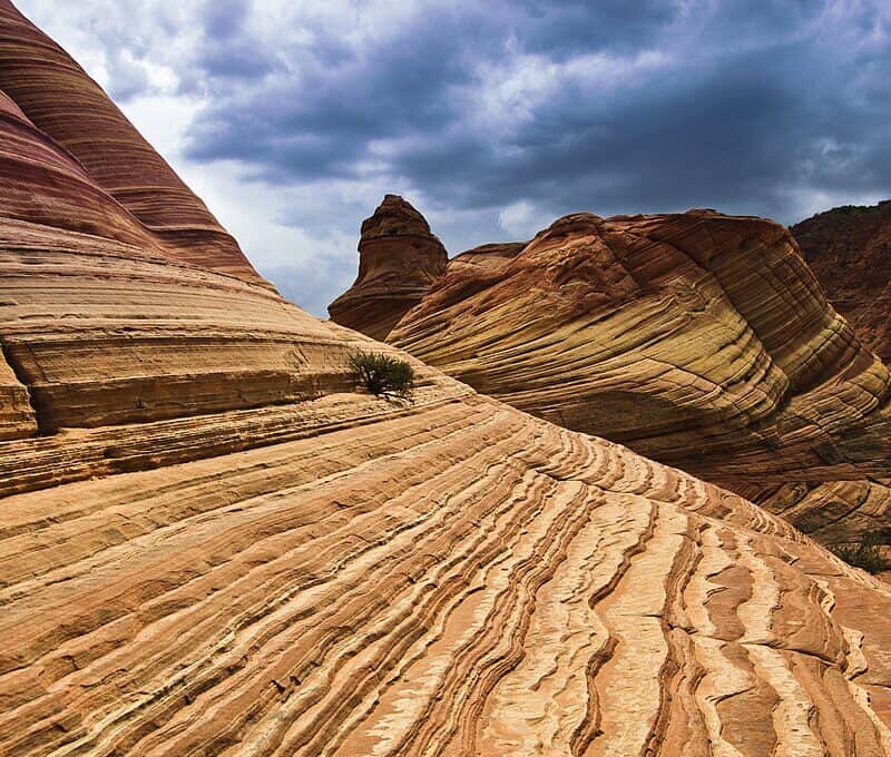 1024px-The_Wave_-_Coyote_Buttes_North_(49995905456)