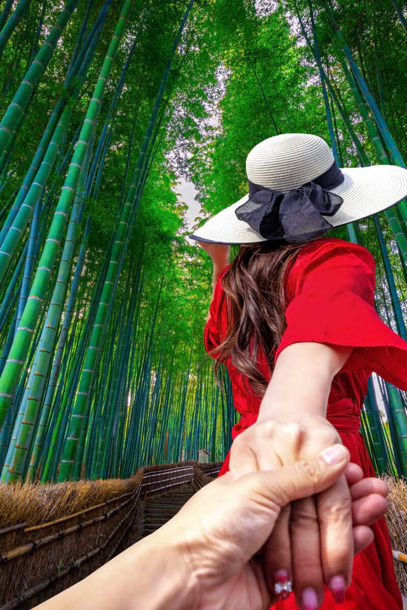 Bamboo Paths In Arashiyama, Kyoto