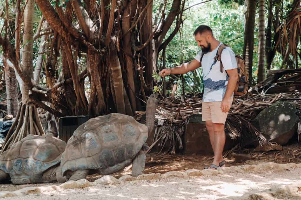 Aldabra Atoll, A Remote Stronghold of Giant Tortoises