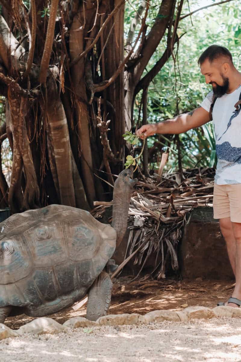 Aldabra Atoll, A Remote Stronghold of Giant Tortoises