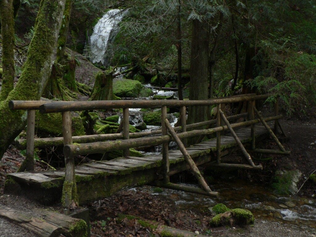Cougar Mountain Cave interior”