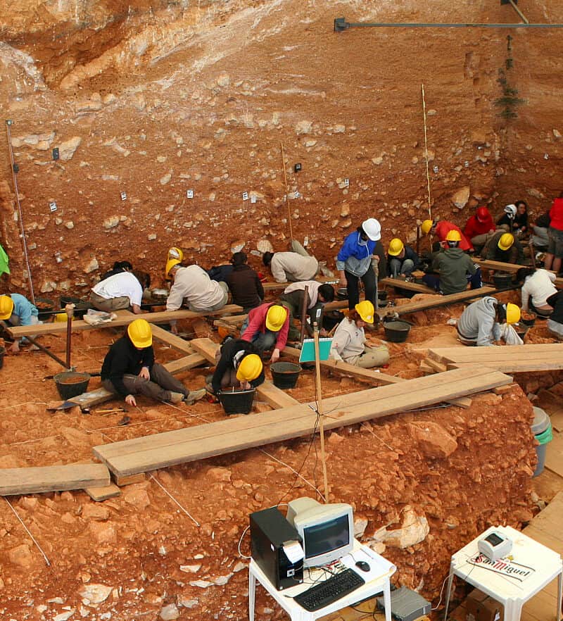 “perishable archaeology artifacts”