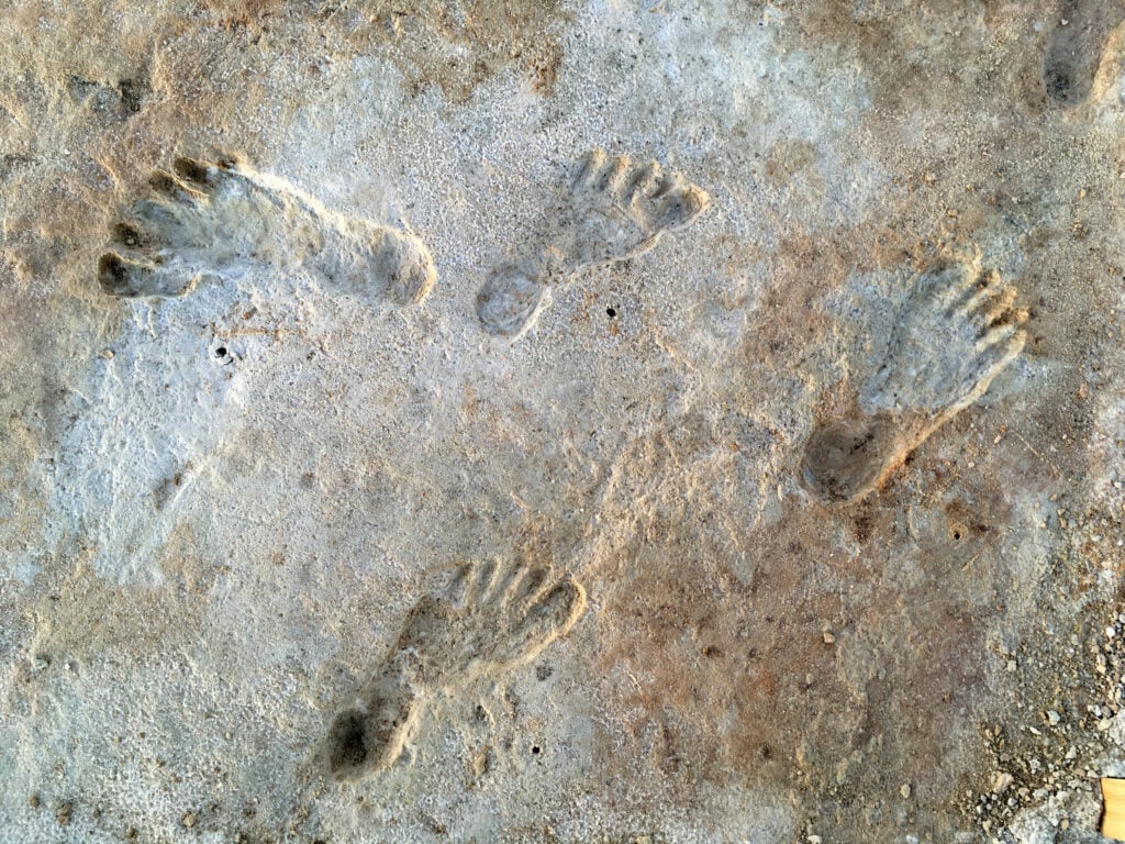 Footprints From The Last Ice Age
