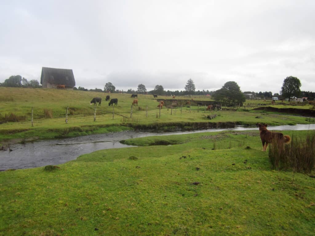Monte Verde Chile archaeological site