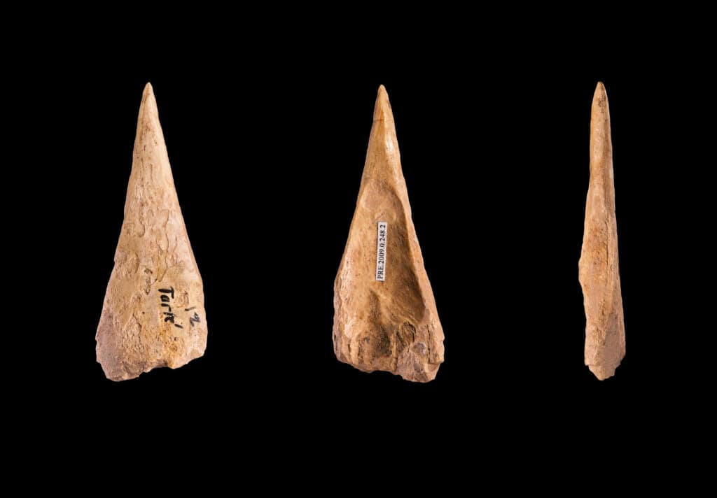 prehistoric bone needle archaeology”