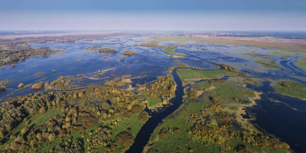 tropical wetlands aerial