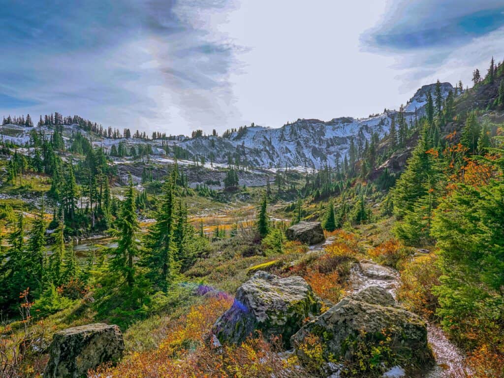 Washington forest mountains