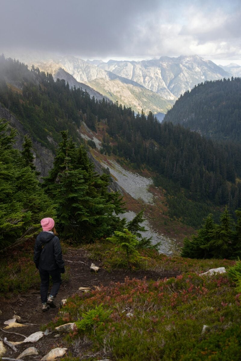 Washington forest mountains
