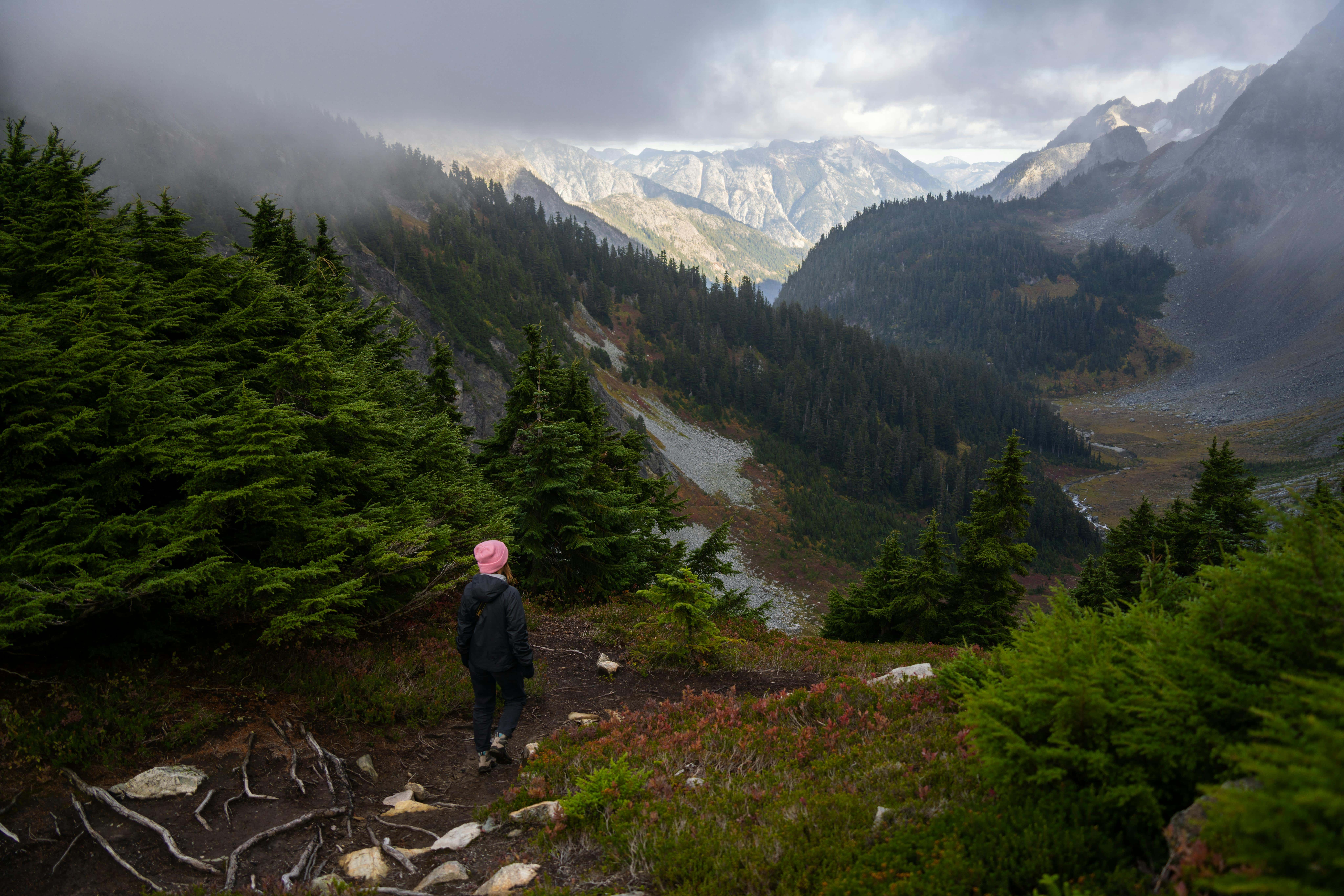 Washington forest mountains