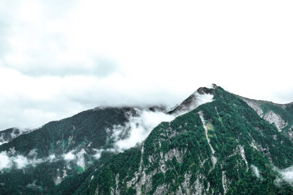 High-Identity Places Are Winning Attention