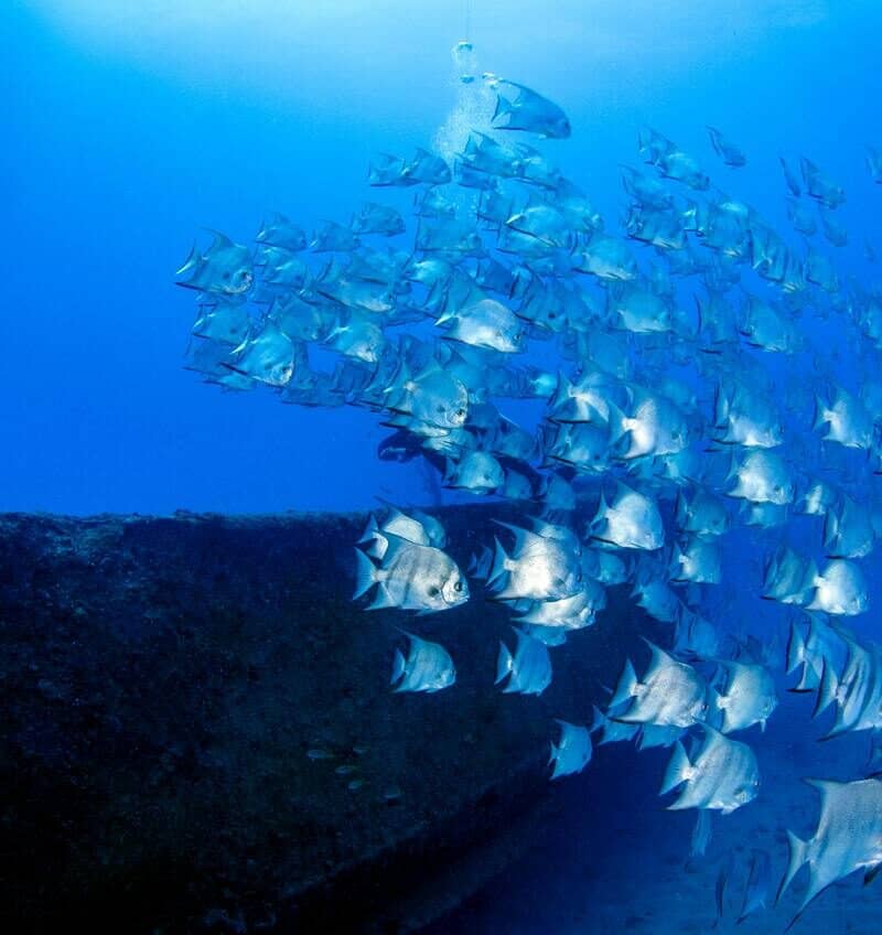 pexels-leonardo-lamas-32247393-7001606-2