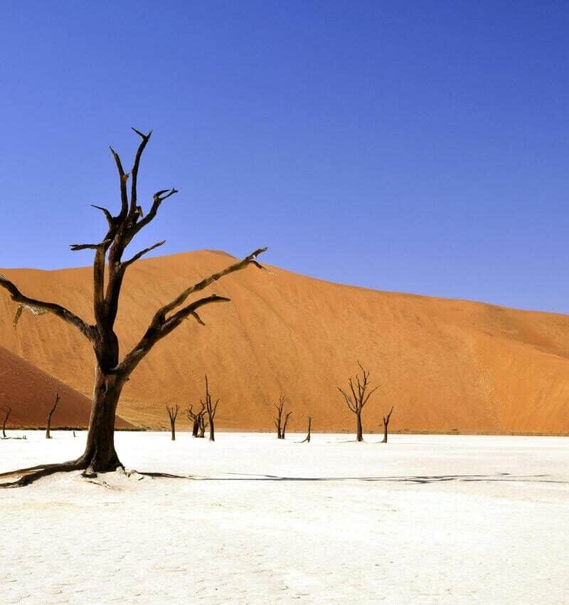 pexels-pixabay-68661-2