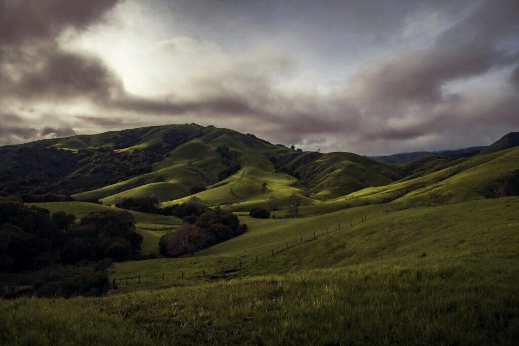 California chaparral hills landscape