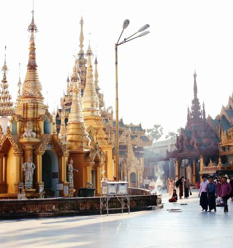 pexels-tonywuphotography-16735991-2