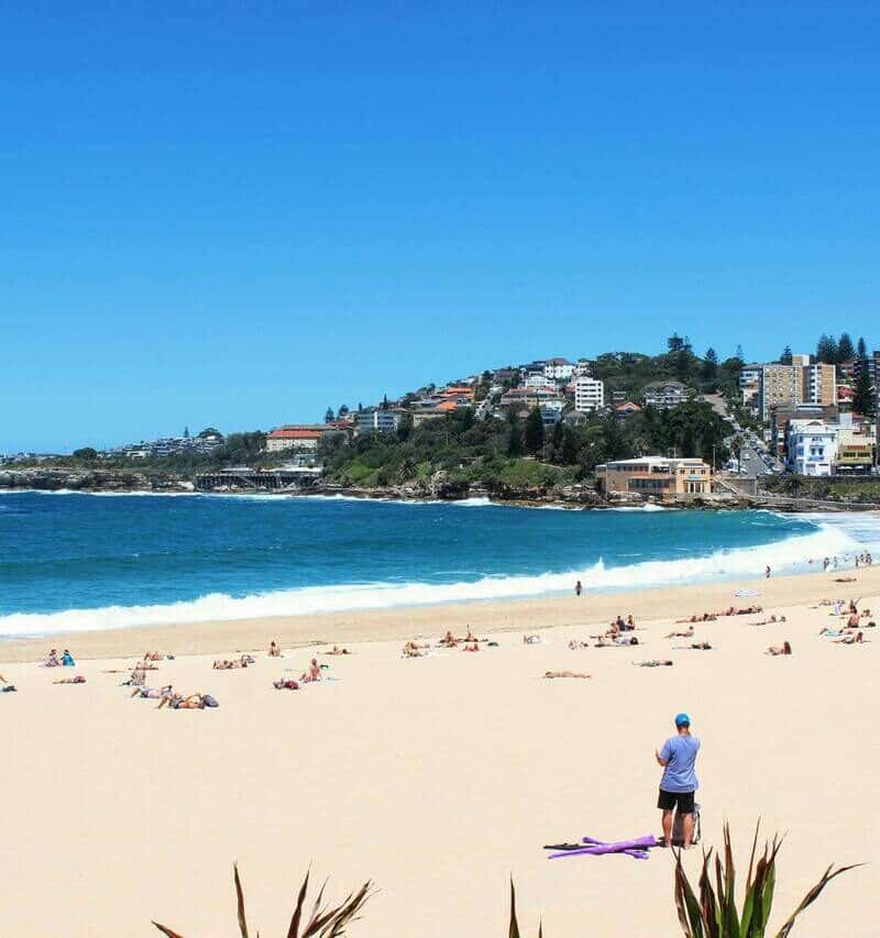 pexels-wingspan-artist-520121420-16323069-2