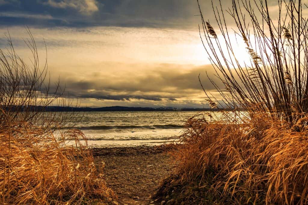 tommy_rau-lake-7284283_1280