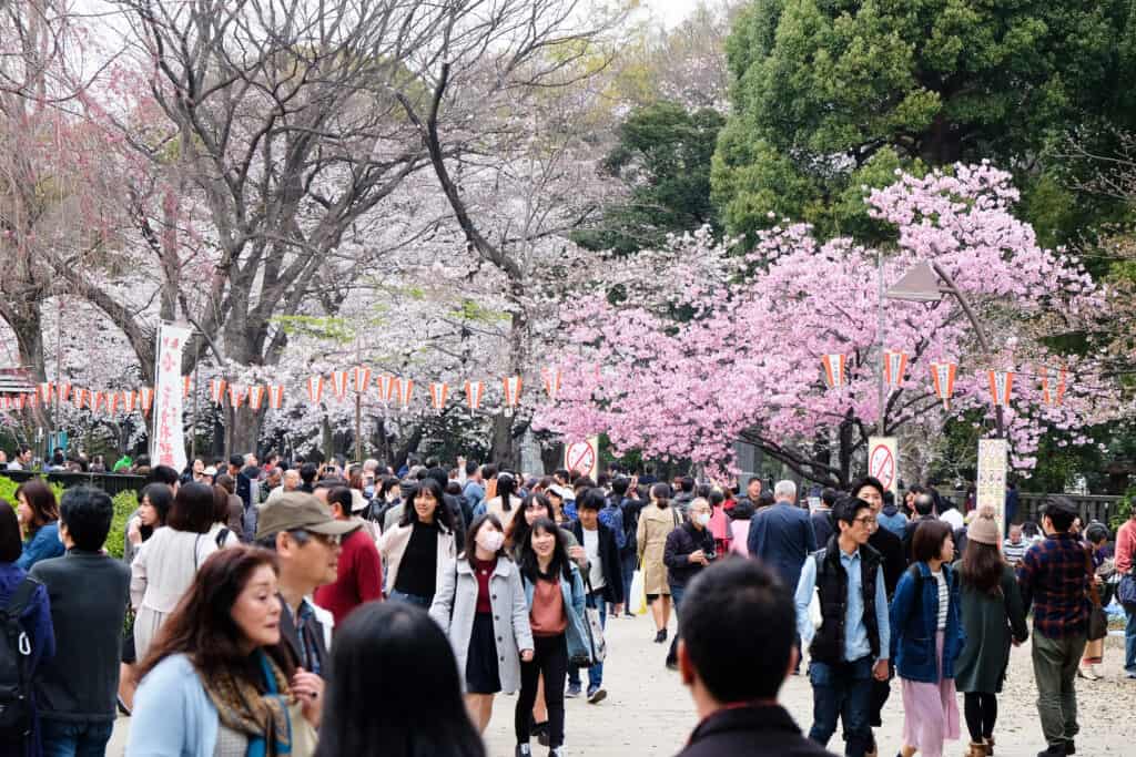 Kyoto street crowded tourists traditional district
