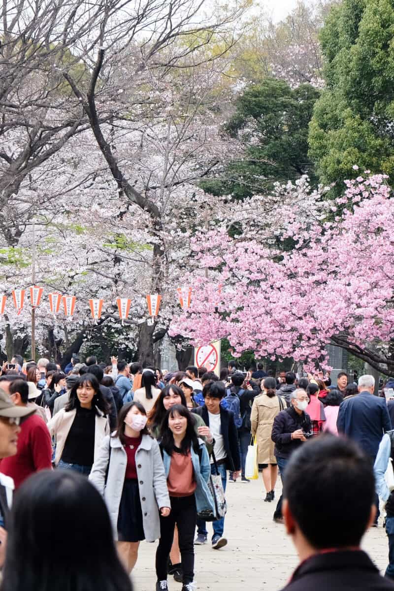 Kyoto street crowded tourists traditional district