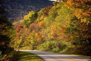 angelsharum-fall-3733889_1280