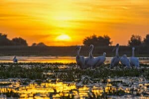 Romania’s Danube Delta