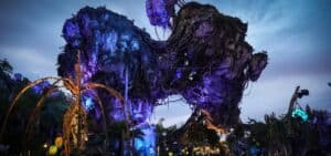 Explore Beyond The Headline Attractions