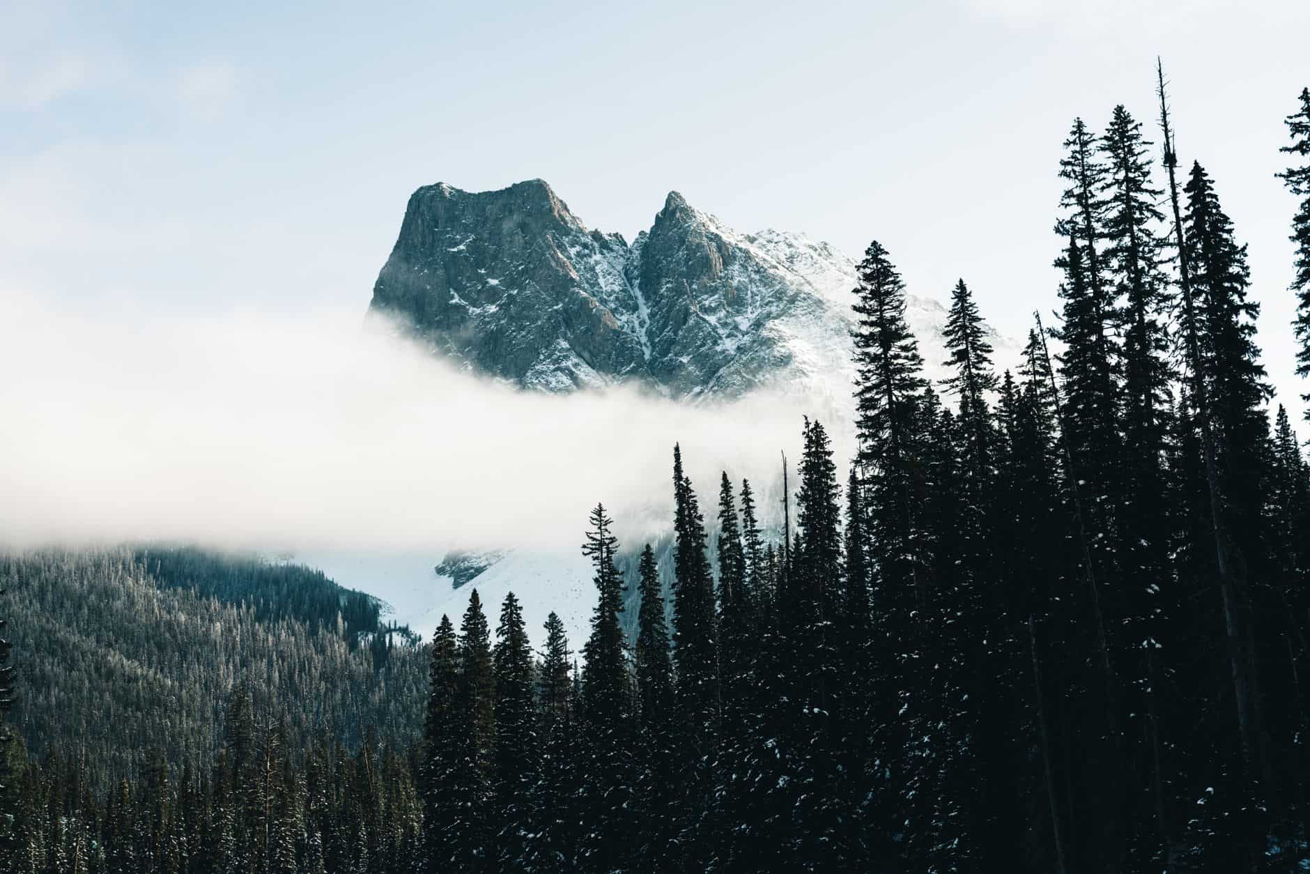 Explore the serene mountain landscape of Field, BC, with evergreen trees and misty peaks.