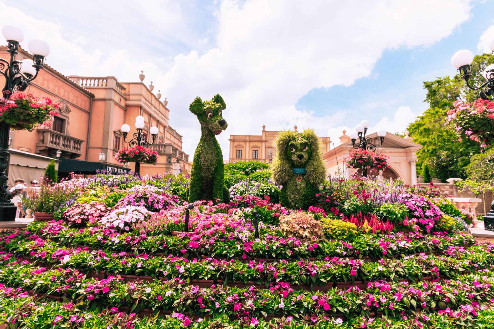Busch Gardens theme park