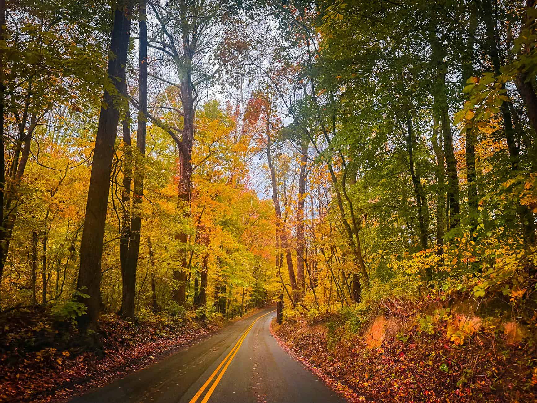 A picturesque backroad surrounded by vibrant fall foliage, capturing the essence of autumn.