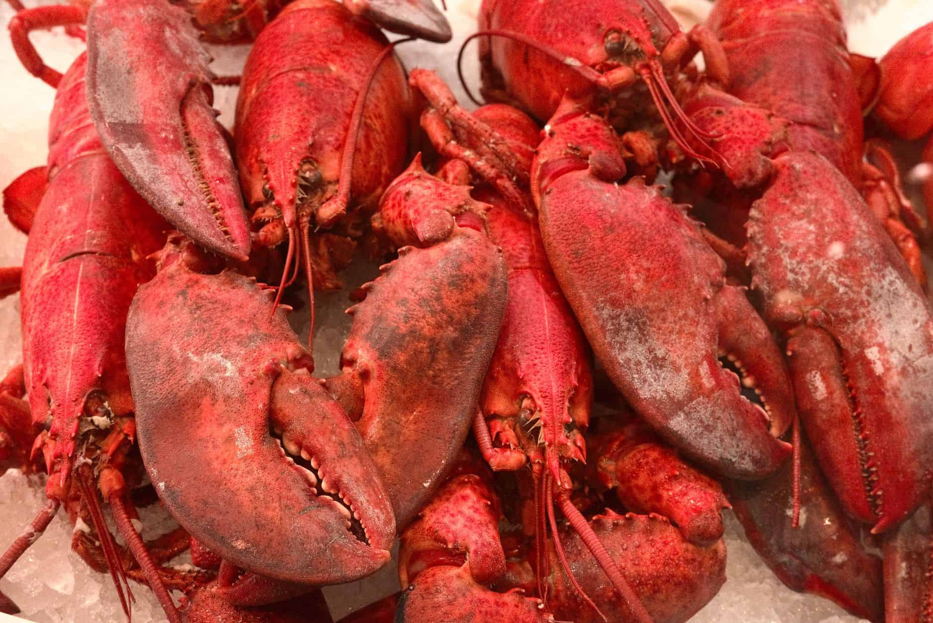 New England seafood