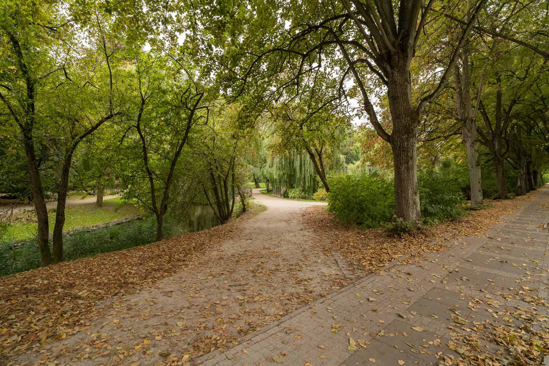 national park empty trail autumn