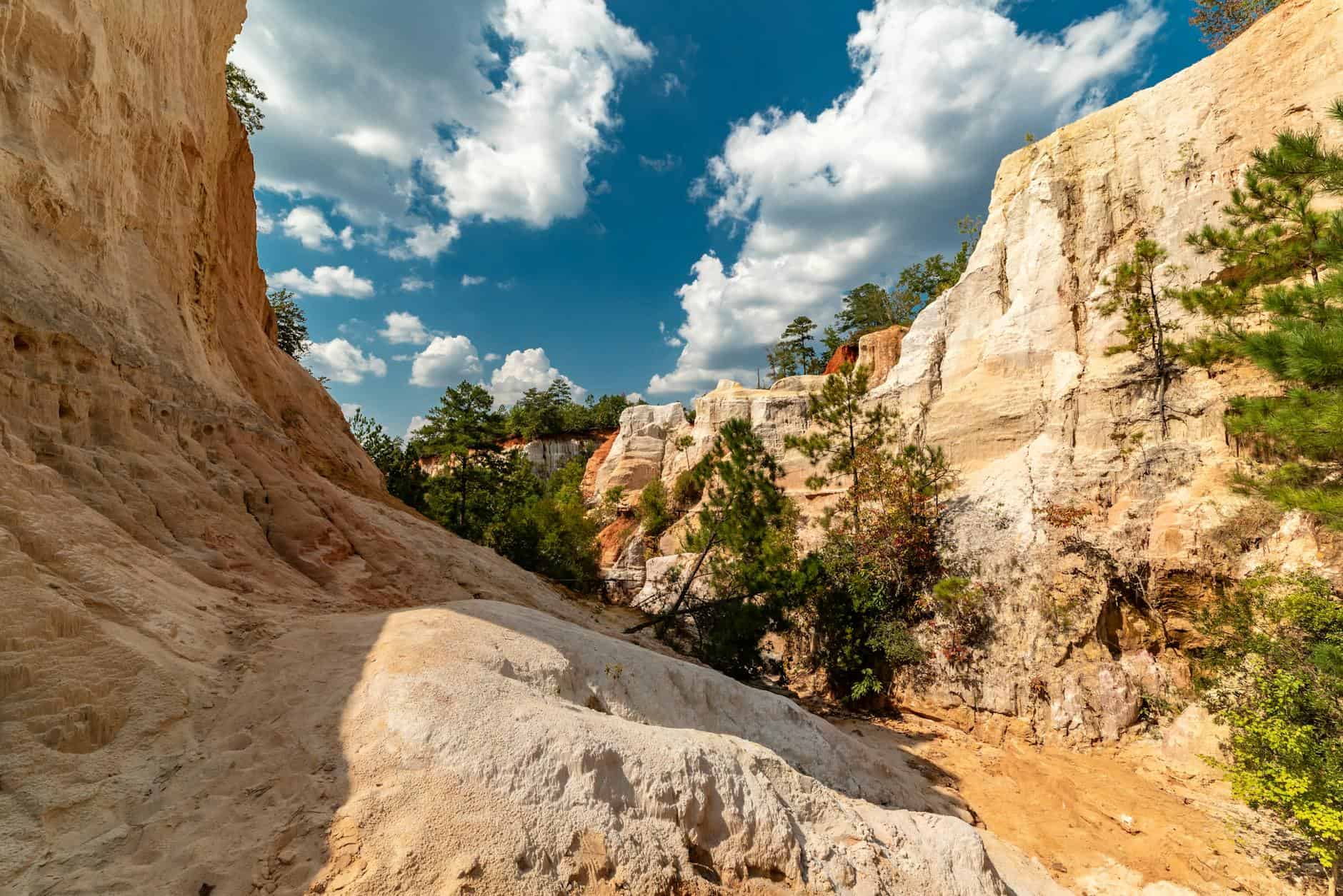 southern USA nature beautiful hidden