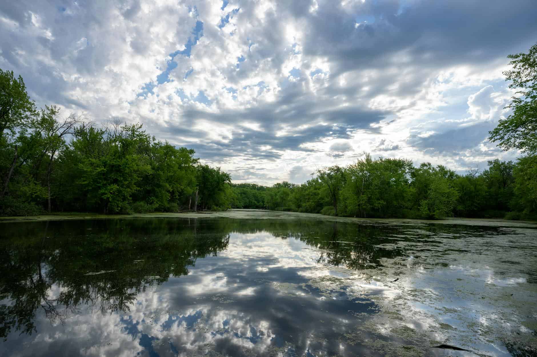 midwest lake forest landscape