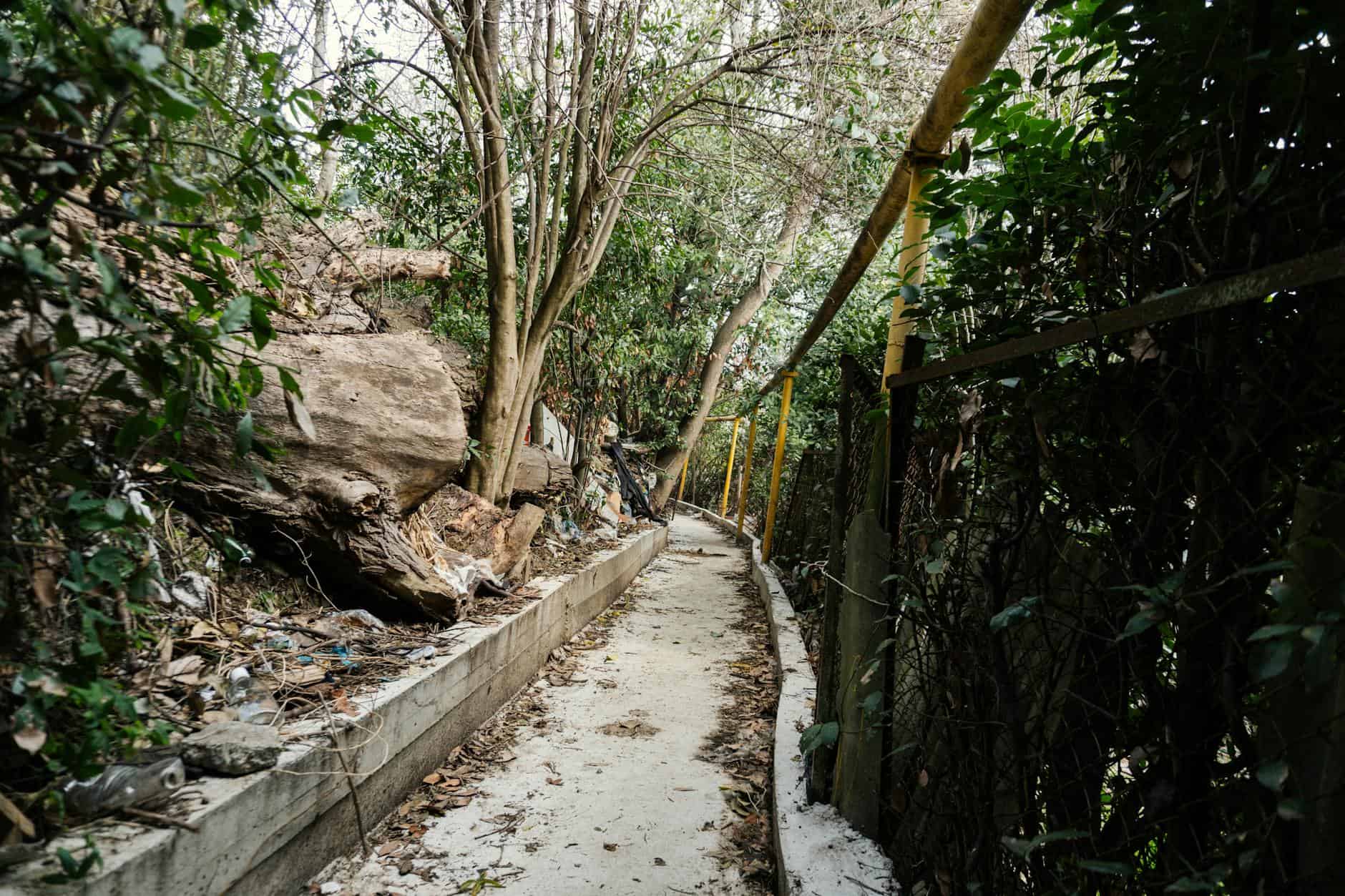 local trail path secret nature