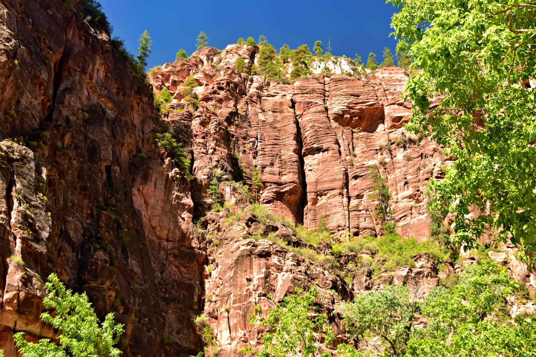 crowded Zion trail