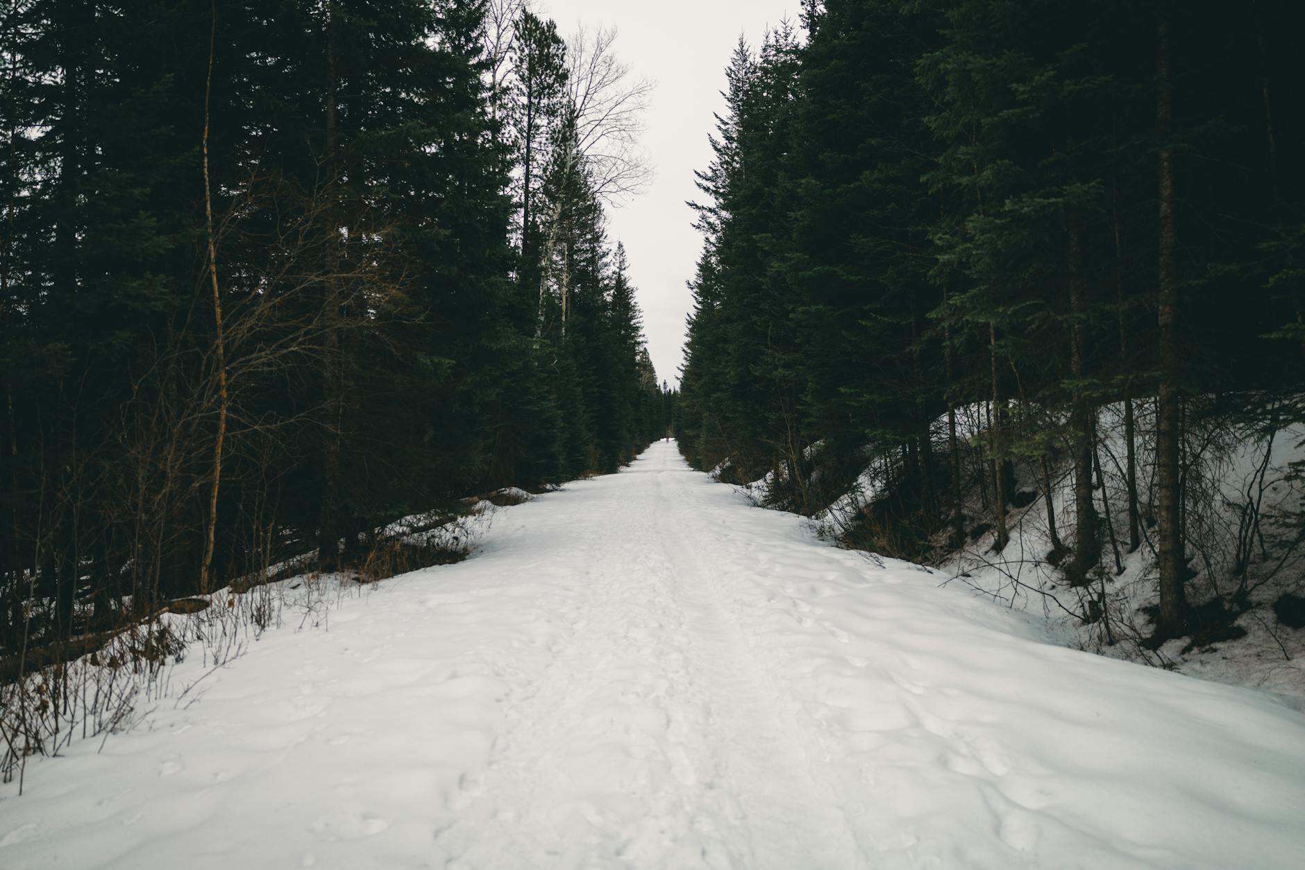 empty national park trail