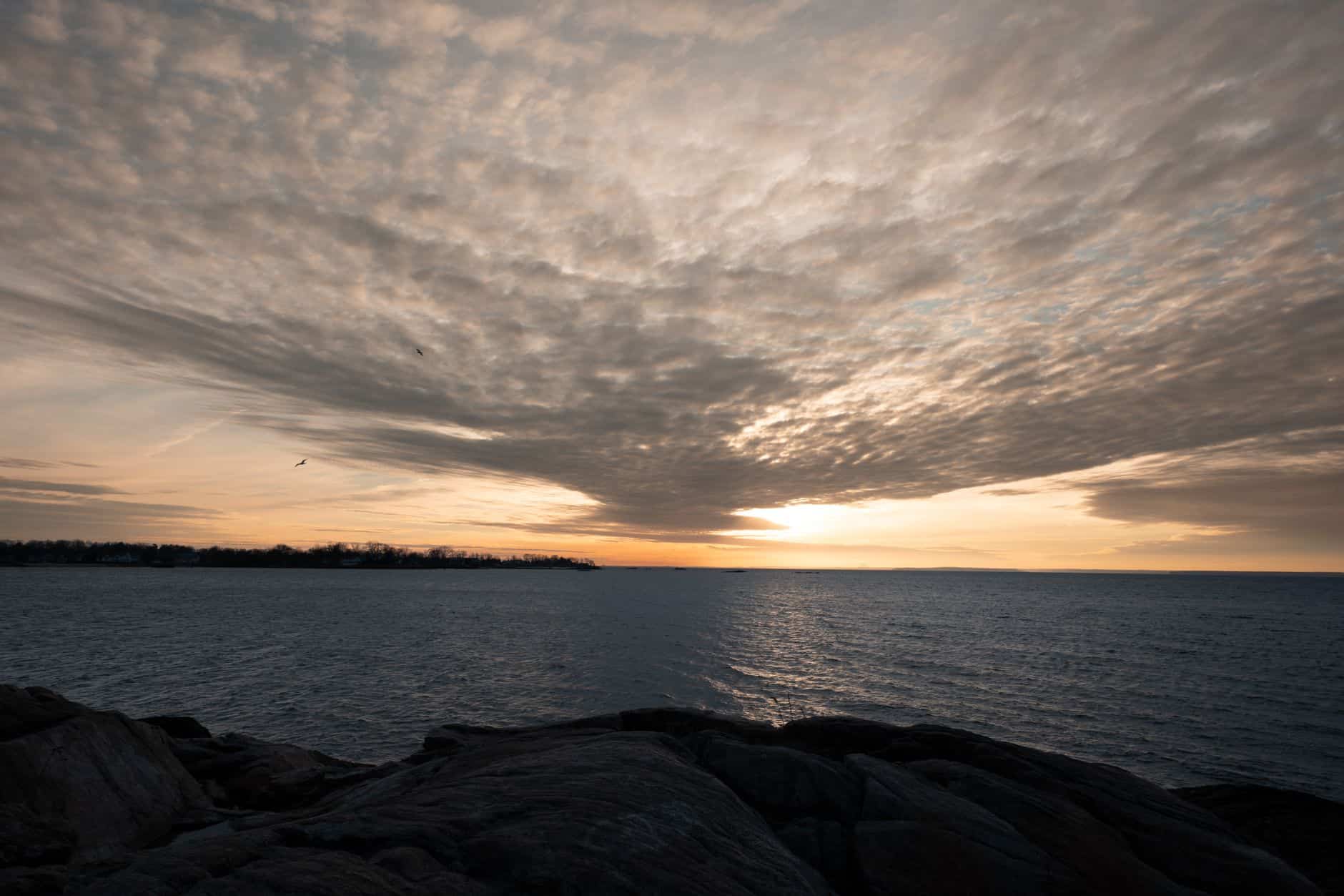rocky New England coast