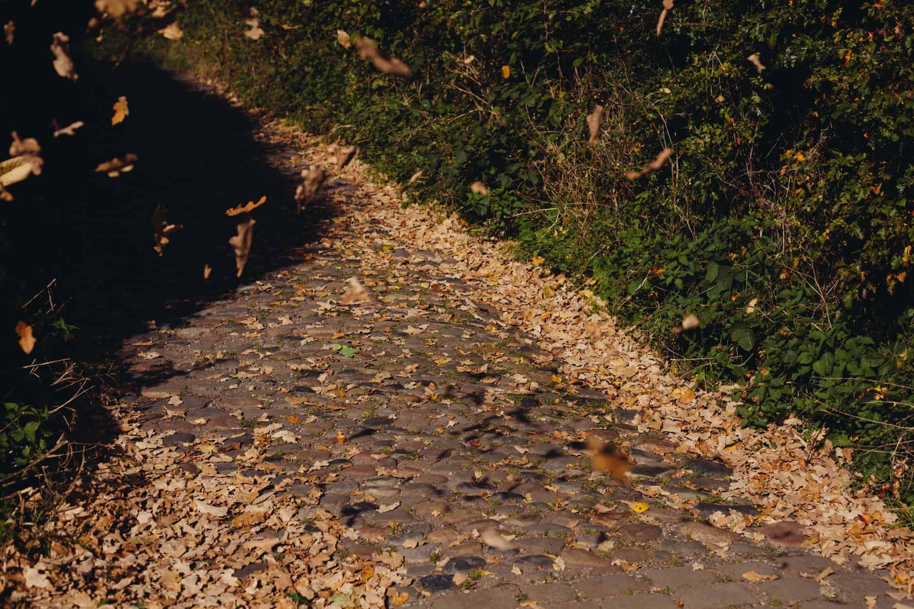 A scenic cobblestone path covered with autumn leaves surrounded by lush greenery.