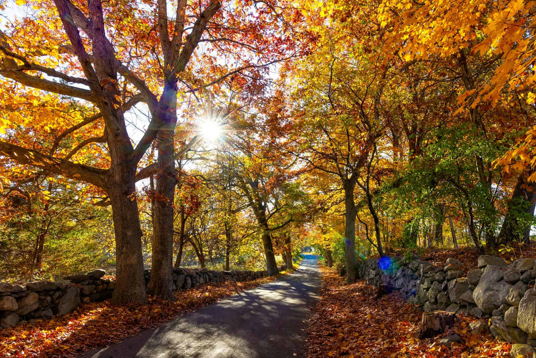 new england fall foliage road