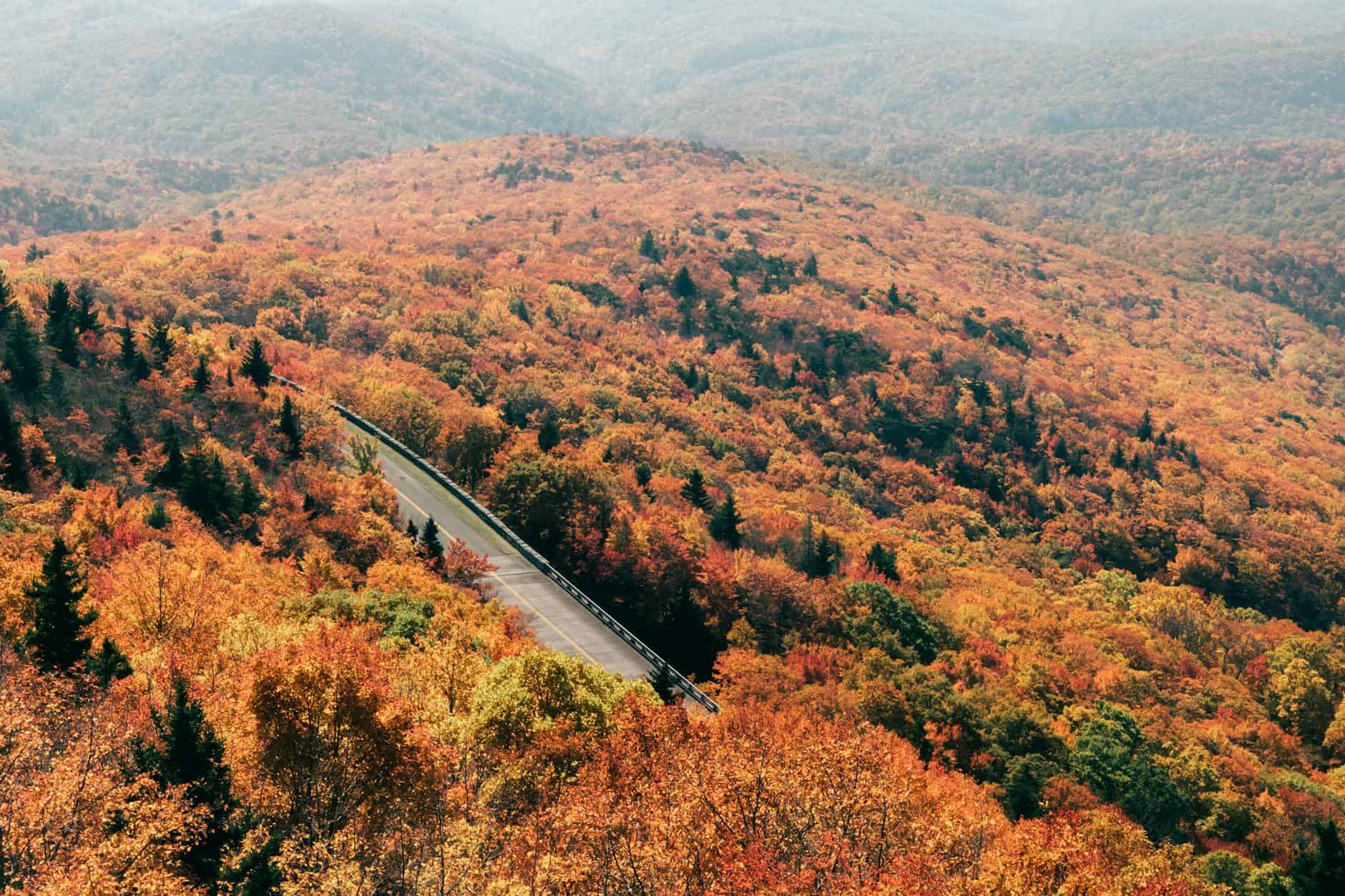 blue ridge parkway autumn