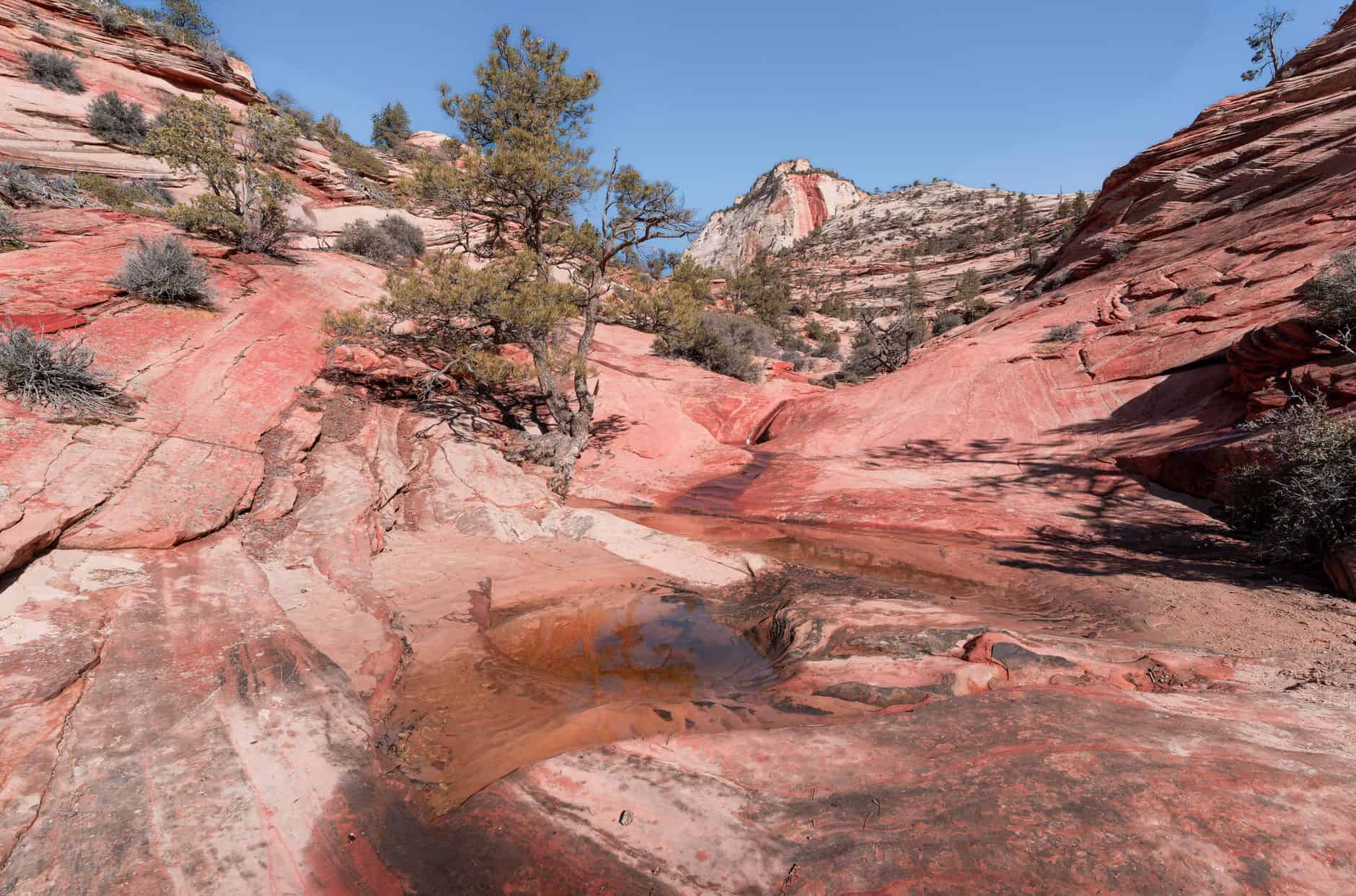 zion national park trail