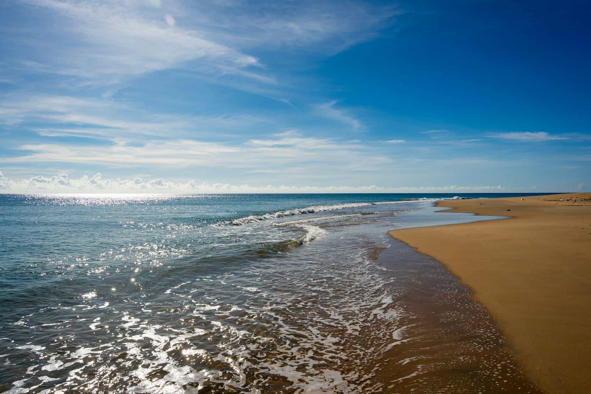 southern winter warm sunshine