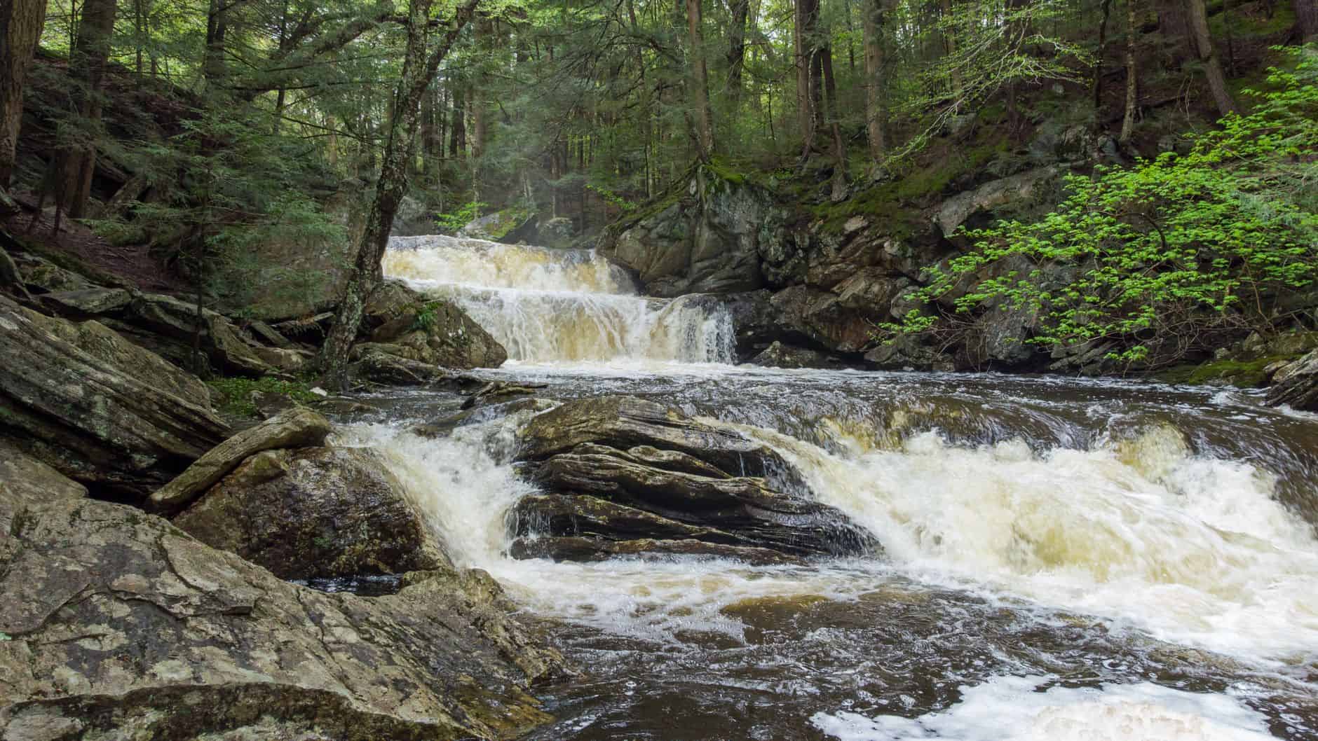 northeast waterfall forest