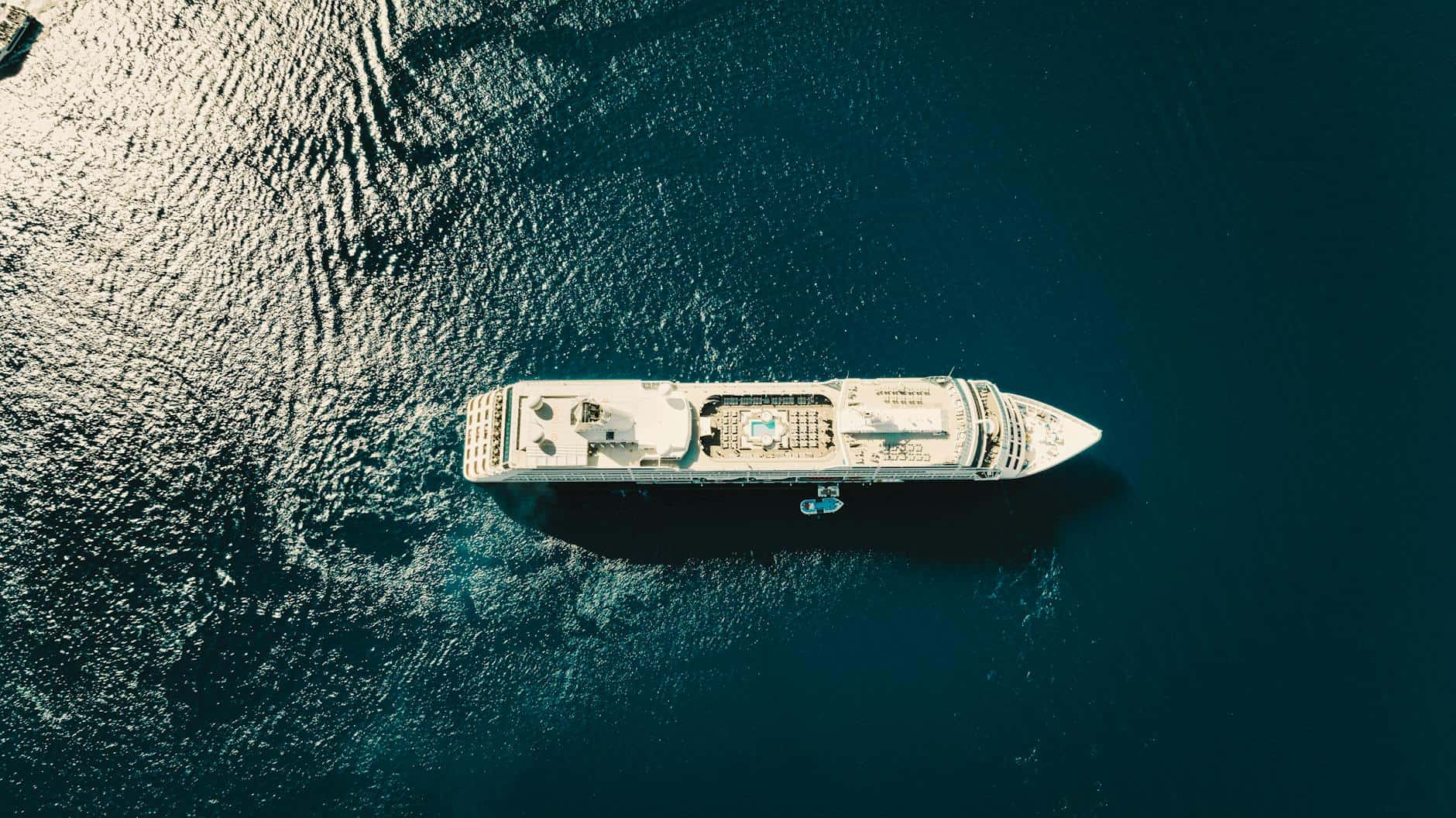 cruise booking research