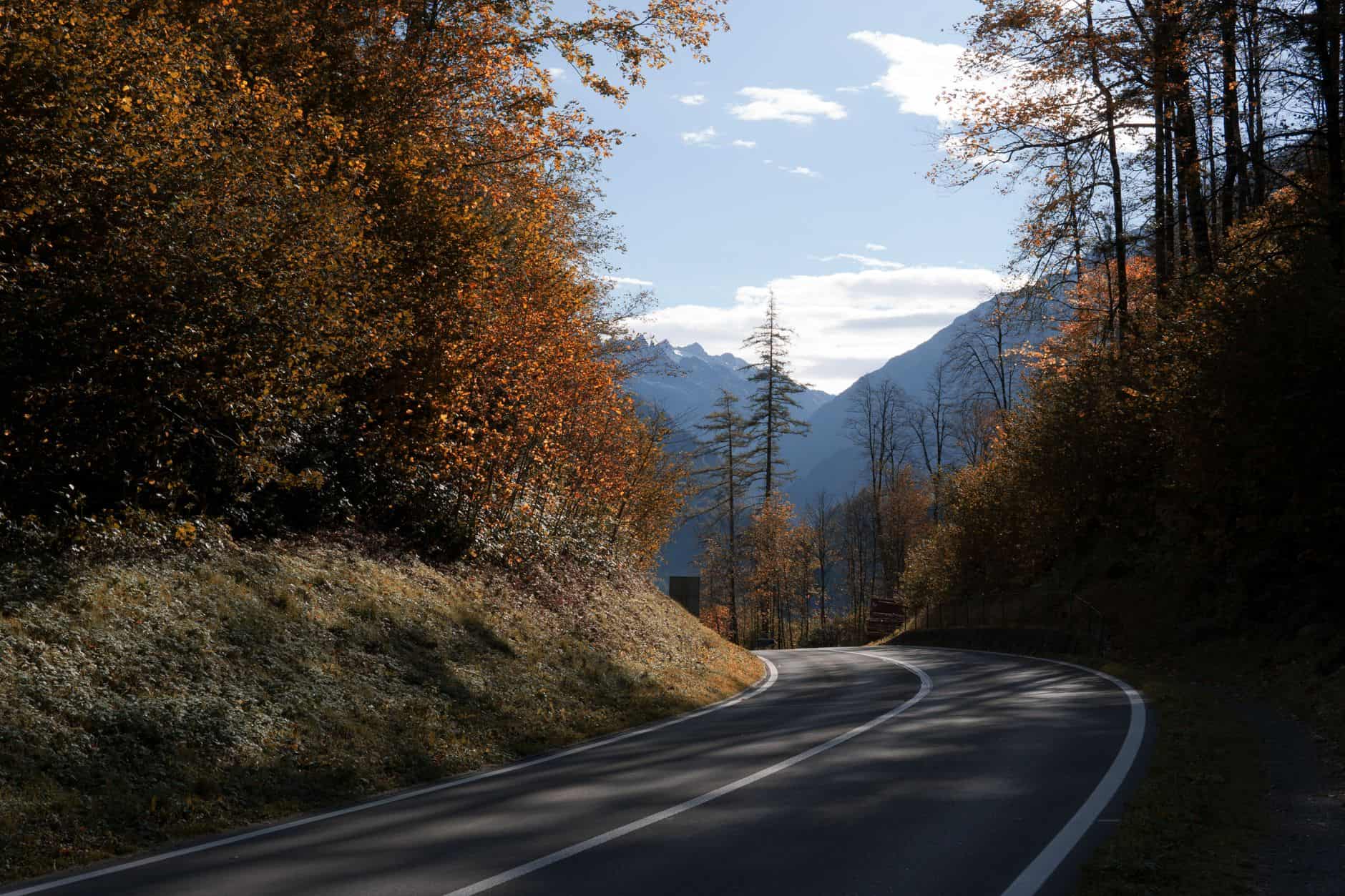 autumn leaves mountain road