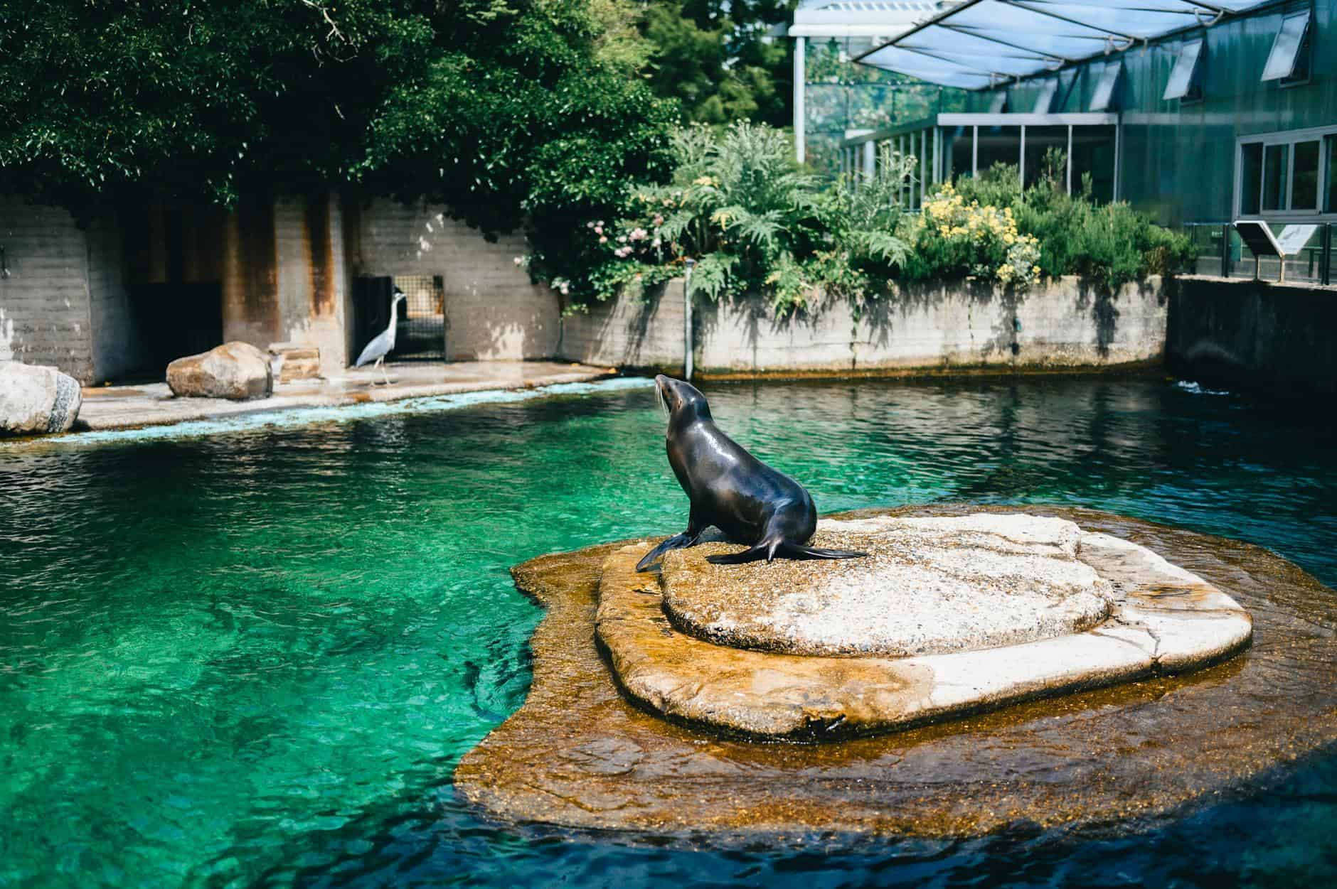 zoo aquarium animals captive