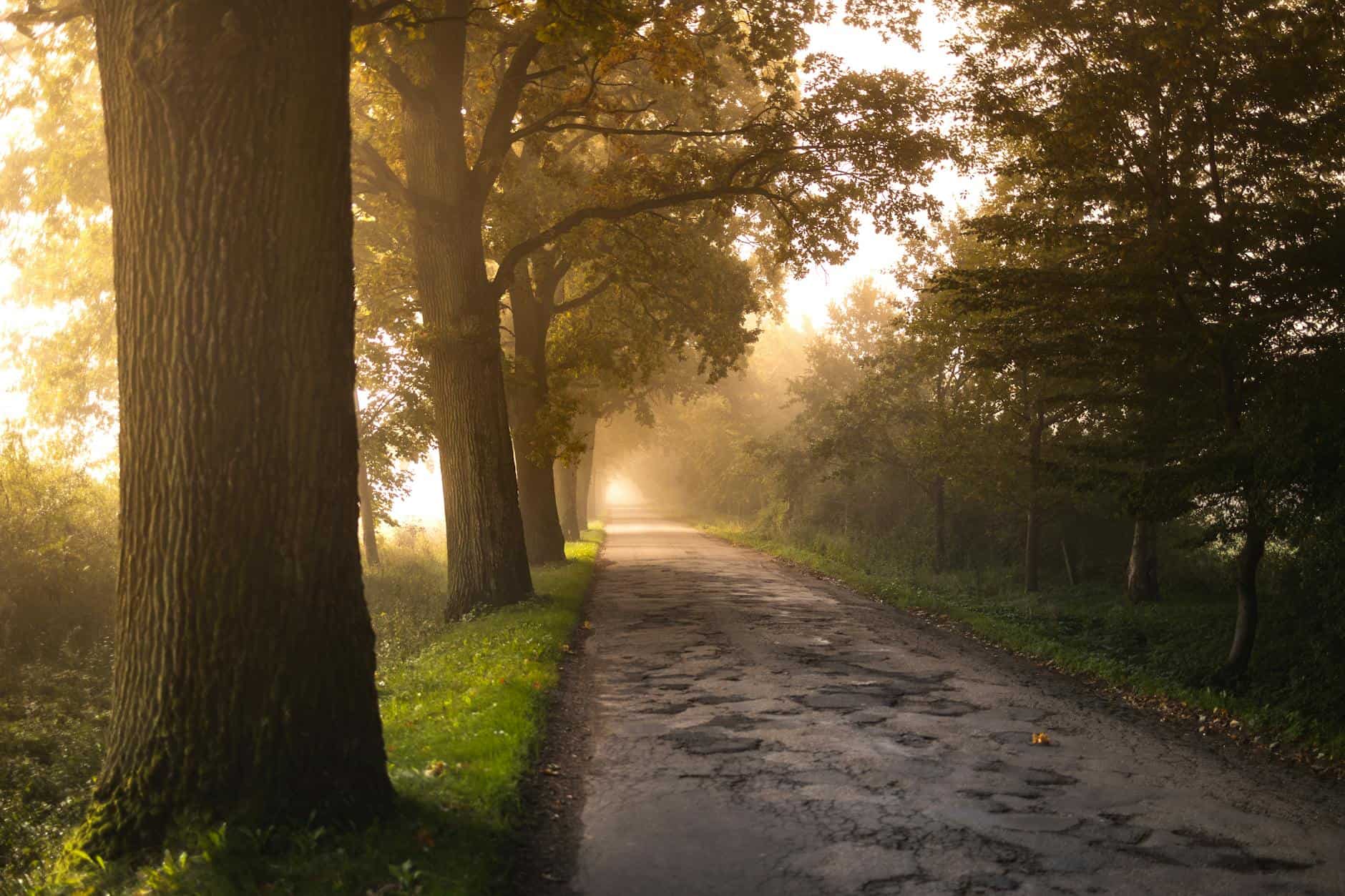 peaceful travel morning
