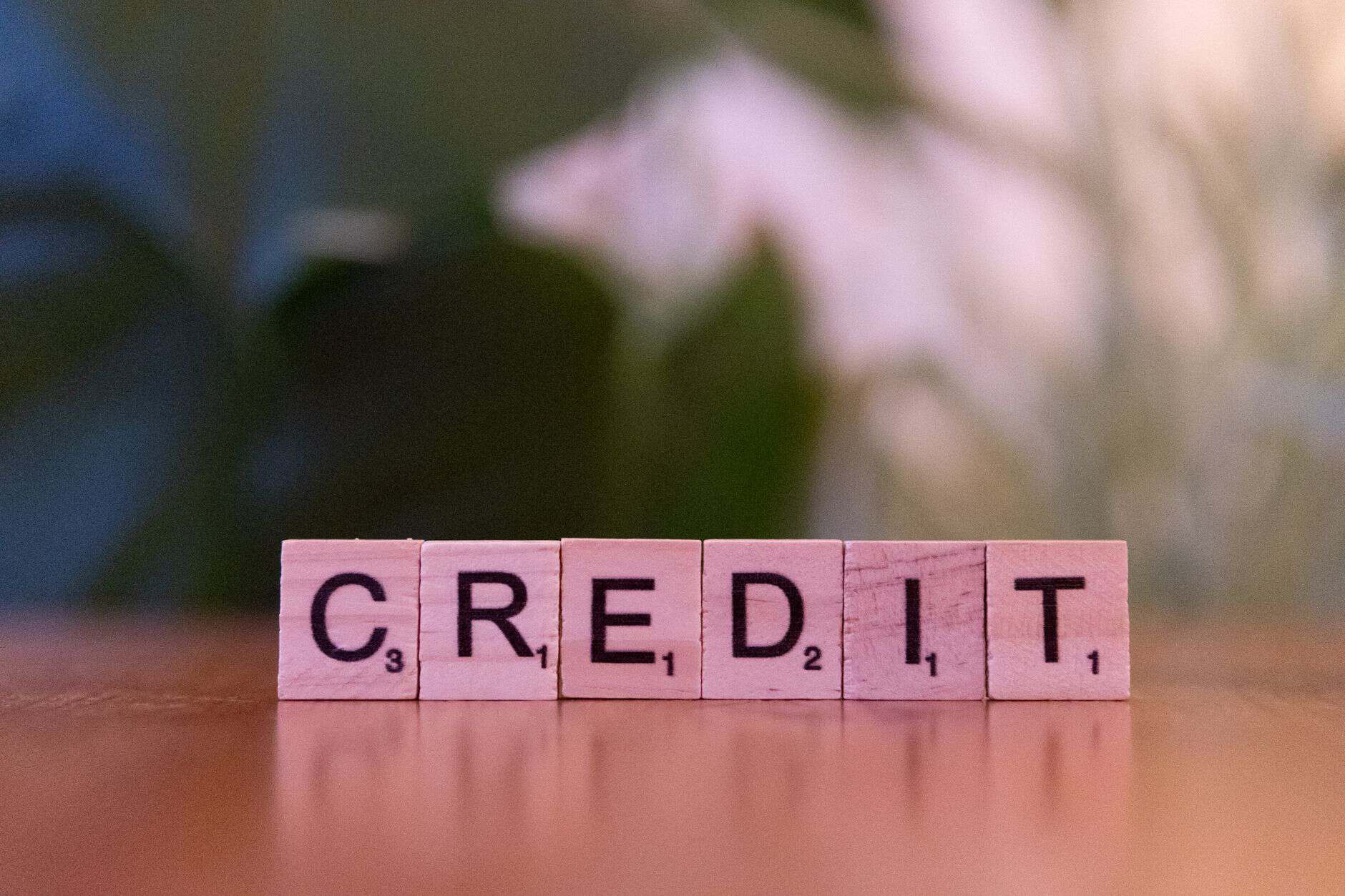 credit report score monitor